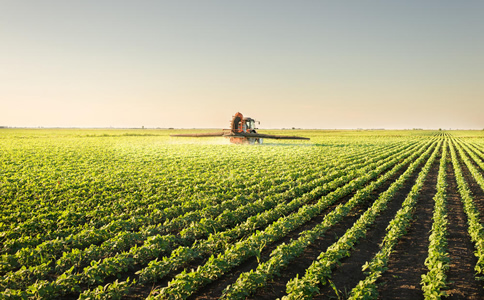 2020國內(nèi)知名農(nóng)業(yè)獵頭公司有哪些？